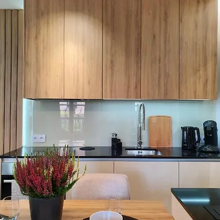 Luxury 2-room In Praga-polnoc Port Praski * 华沙