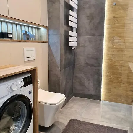 公寓 Luxury 2-room In Praga-polnoc Port Praski 华沙